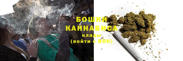 прущий лед Арсеньев