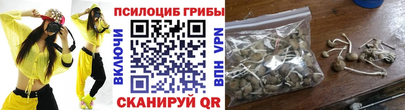 цена наркотик  Спасск-Рязанский  МЕГА ссылка  Псилоцибиновые грибы MAGIC MUSHROOMS 